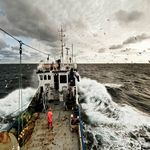 Bild 2057 EO Nord- und Ostseefischer